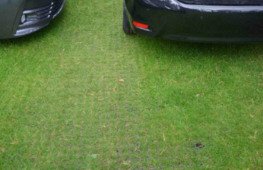 Kratka trawnikowa, zielona 50cm x 50cm x 5cm