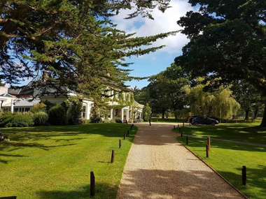 Kratka trawnikowa, zielona 50cm x 50cm x 5cm