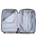 304, Zestwa 4 walizek Wings (L,M,S,XS), Champagne