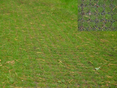 Kratka trawnikowa, zielona 50cm x 50cm x 5cm