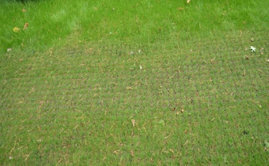 Kratka trawnikowa, zielona 50cm x 50cm x 5cm