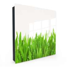 Skrzynka na klucze - Trawa na Jasnym Tle