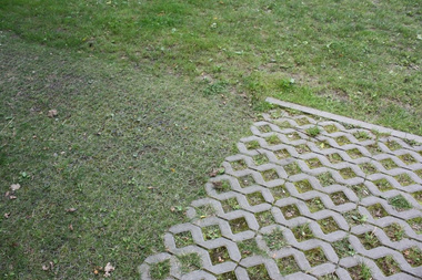 Kratka trawnikowa, zielona 50cm x 50cm x 5cm