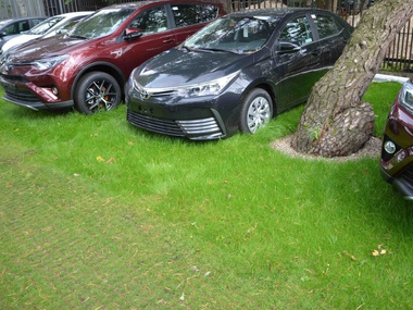 Kratka trawnikowa, zielona 50cm x 50cm x 5cm