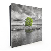 Skrzynka na klucze - Zielone Drzewo na Szarym Tle