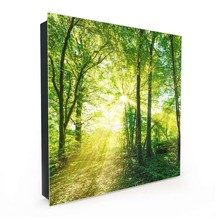 Skrzynka na klucze - Las