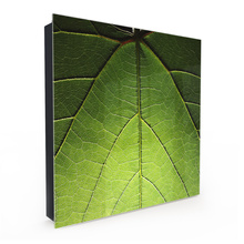 Skrzynka na klucze - Greenprint